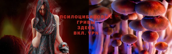 кокаин перу Ладушкин