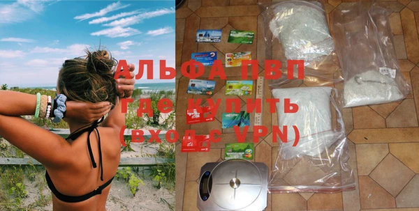 ПСИЛОЦИБИНОВЫЕ ГРИБЫ Липки